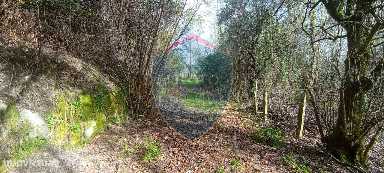 Quinta  Venda em Silgueiros,Viseu-16