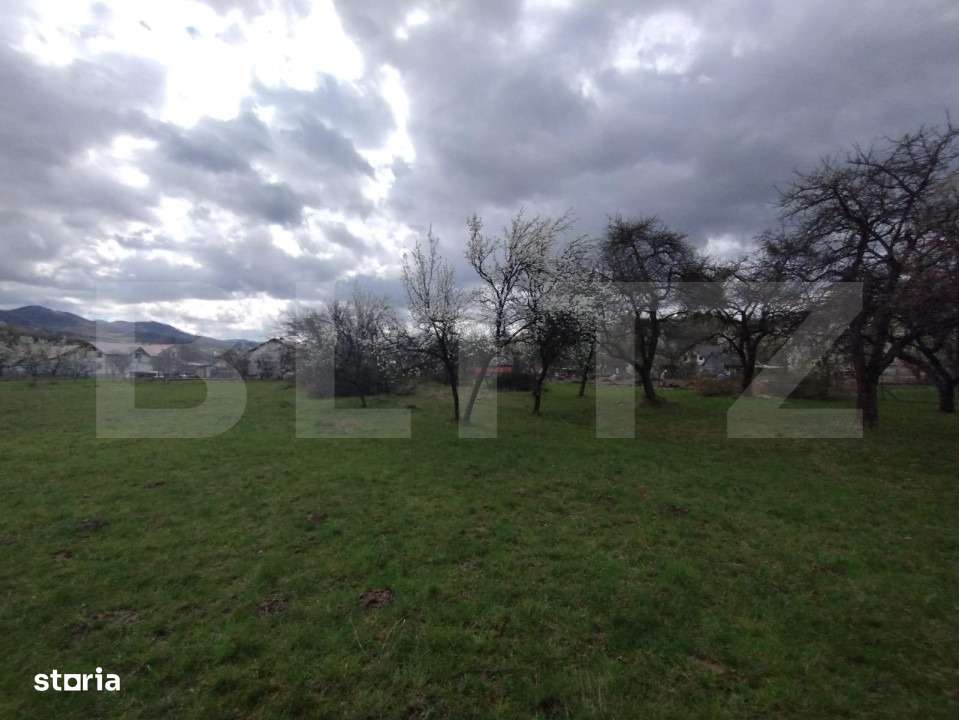 Casa 80mp, teren 7500mp , intravilan, zona Valea Bargaului - Imagine principală: 4/8