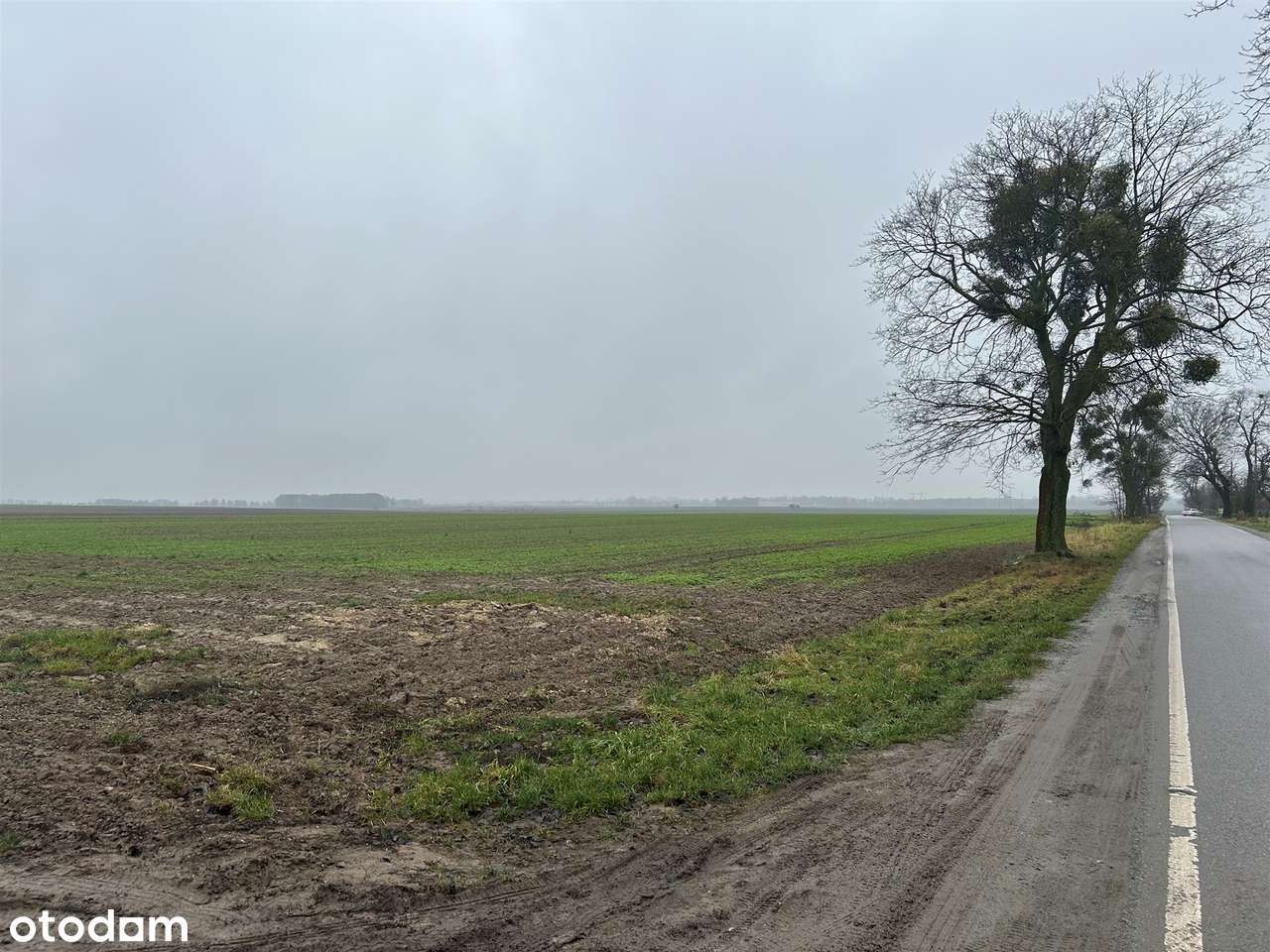 Działka budowlana  Stępin - Pełny obrazek: 5/16