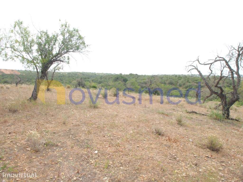 Casas antigas Albufeira - Grande imagem: 5/19