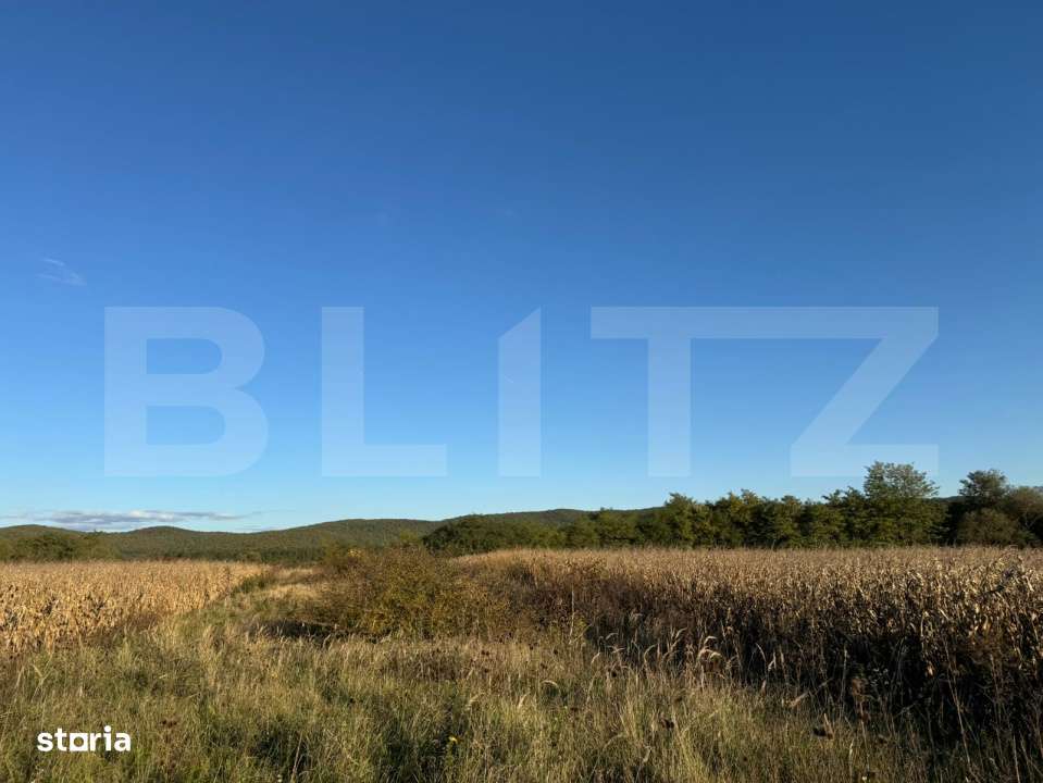 Teren extrvilan 1400mp in Branisca - Imagine principală: 2/2