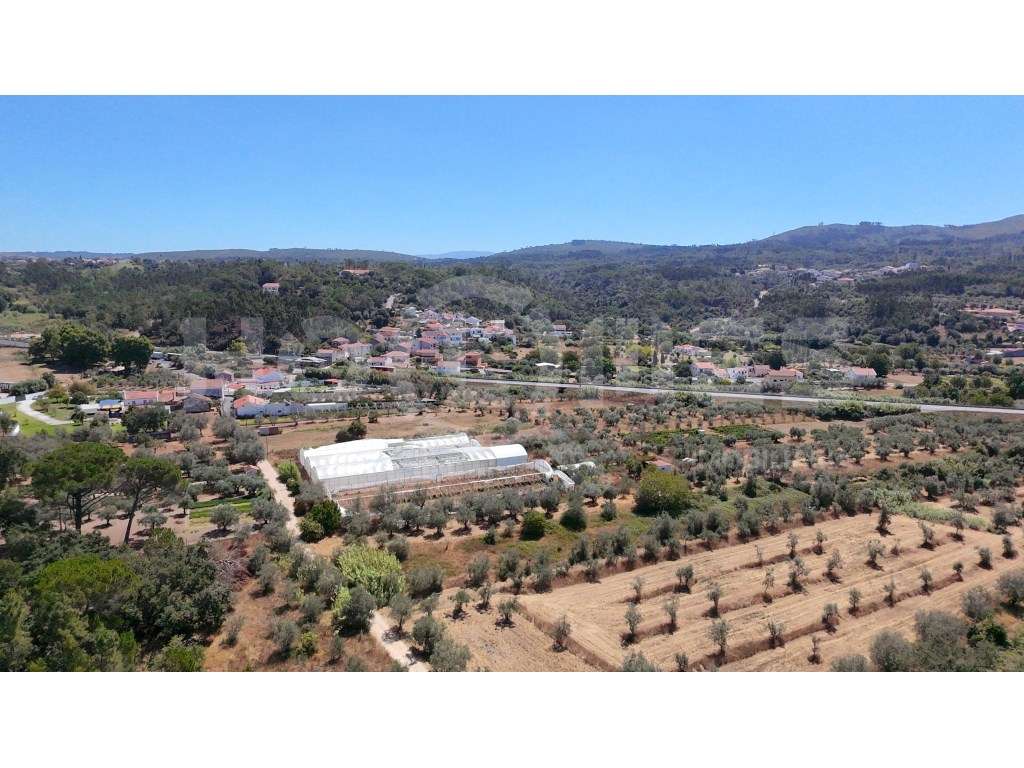 Terreno Agrícola com Estufas Preparadas para Produção em Hidroponia...-16