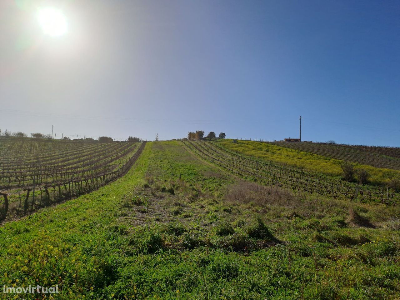 Terreno Misto com viabilidade de construção a 5 minutos da Autoestrada