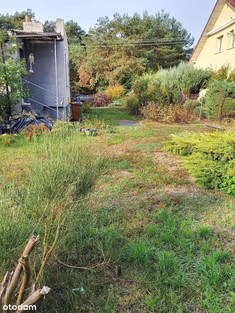 Dom parterowy z potencjałem - Pełny obrazek: 5/8