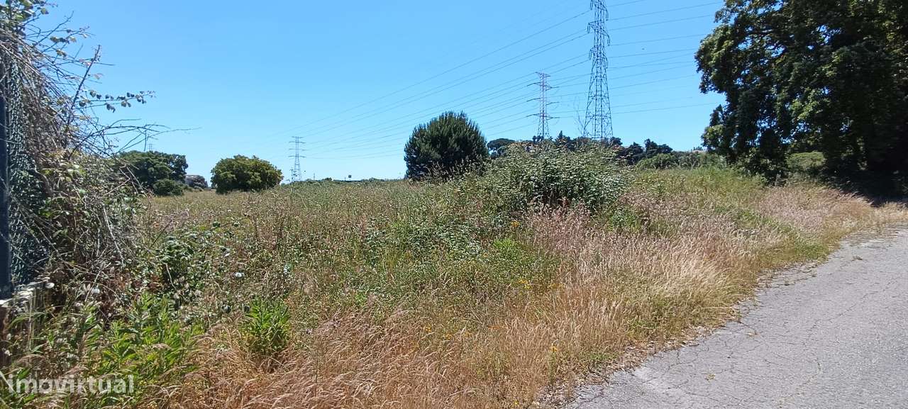 Terreno Rústico – Palmela-3