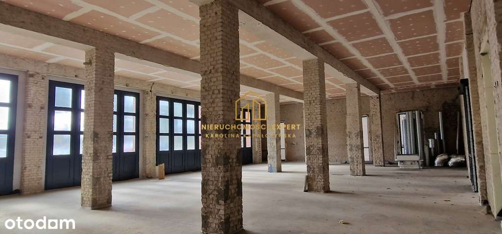 Prestiżowy lokal 315m2, Gorzów Wielkopolski - Pełny obrazek: 5/5