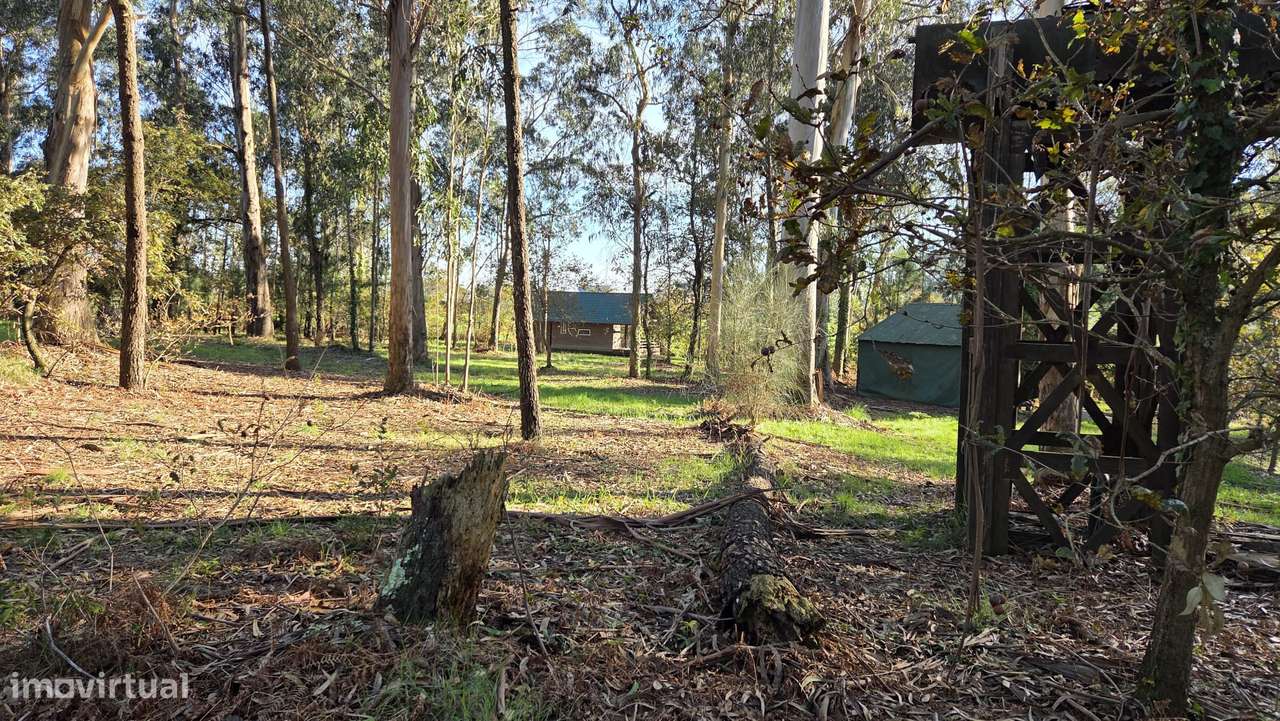 Quinta Equestre & Boutique Retreat-41