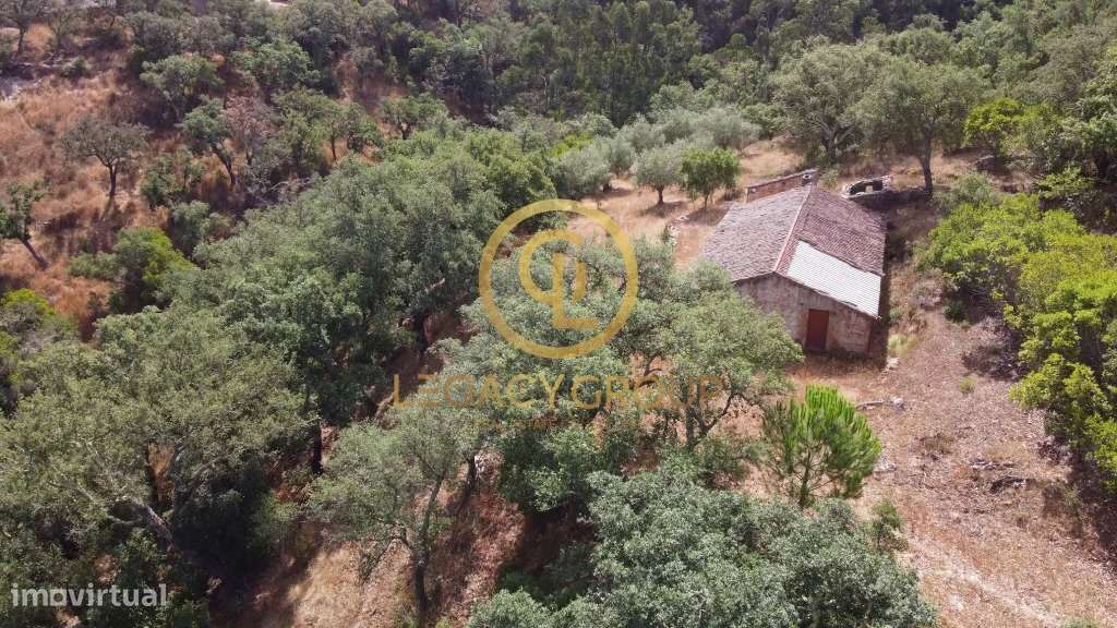 Quinta de 6 hectares perto de São Martinho das Amoreiras-34