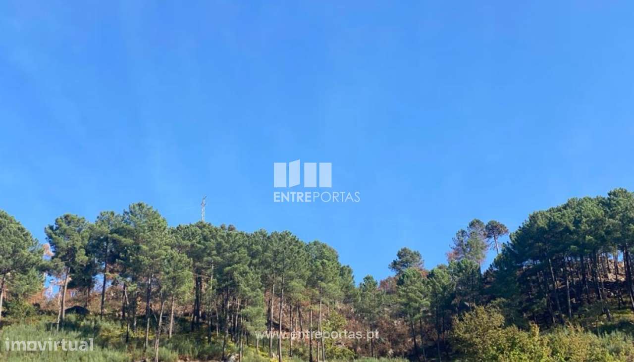 Venda Terreno, São Cristóvão de Nogueira, Cinfães - Grande imagem: 4/8