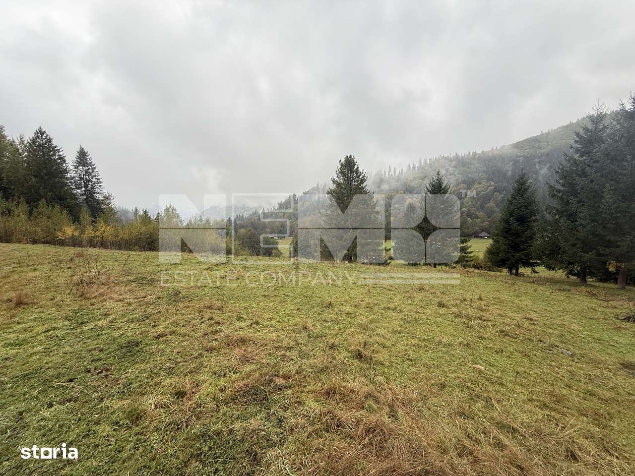 Teren Extravilan | 6.100 mp | Brodina | 41.000 € negociabil - Imagine principală: 2/14