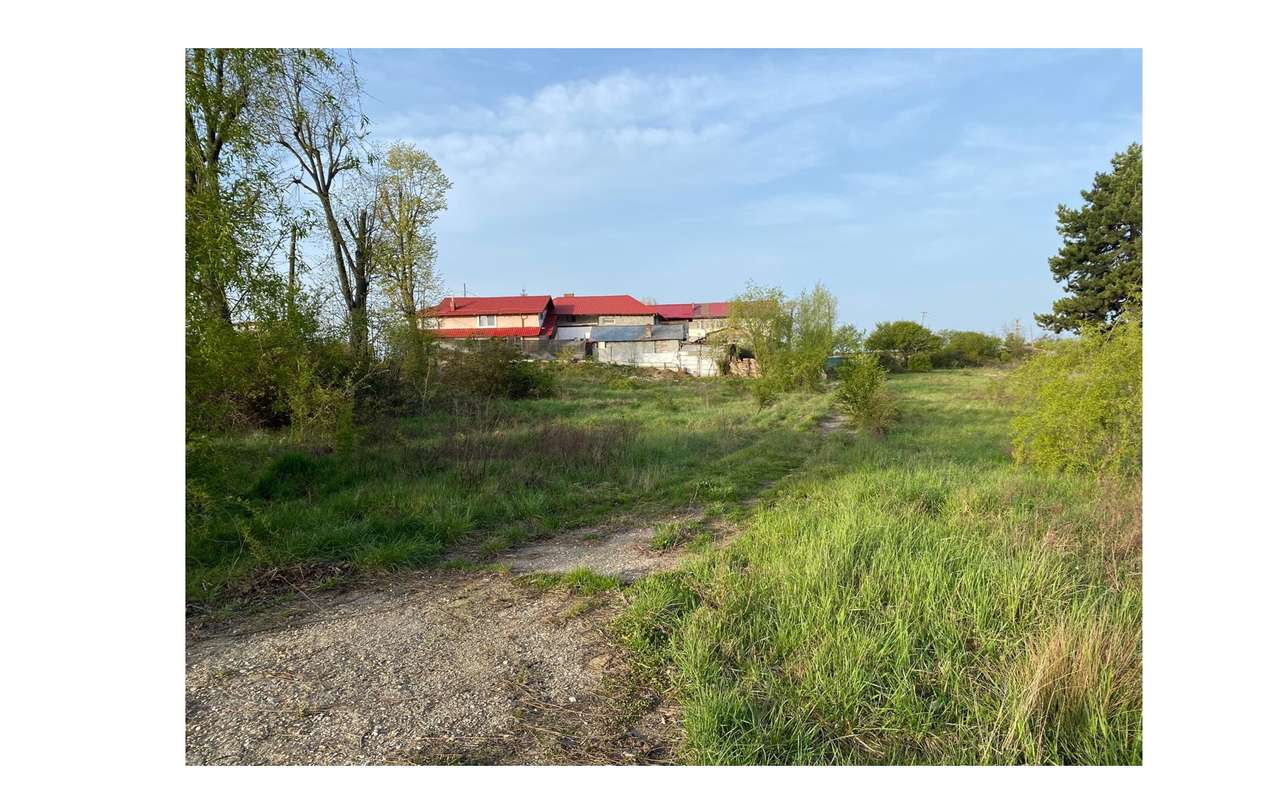 Teren 8830 mp Cantonament Moreni - Imagine principală: 1/2