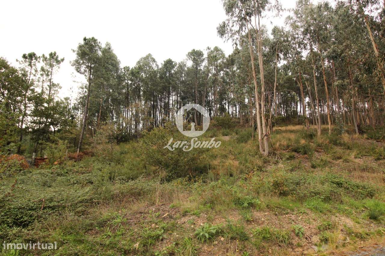 Terreno Agrícola com Excelente Localização  3.300 m² - Grande imagem: 3/11
