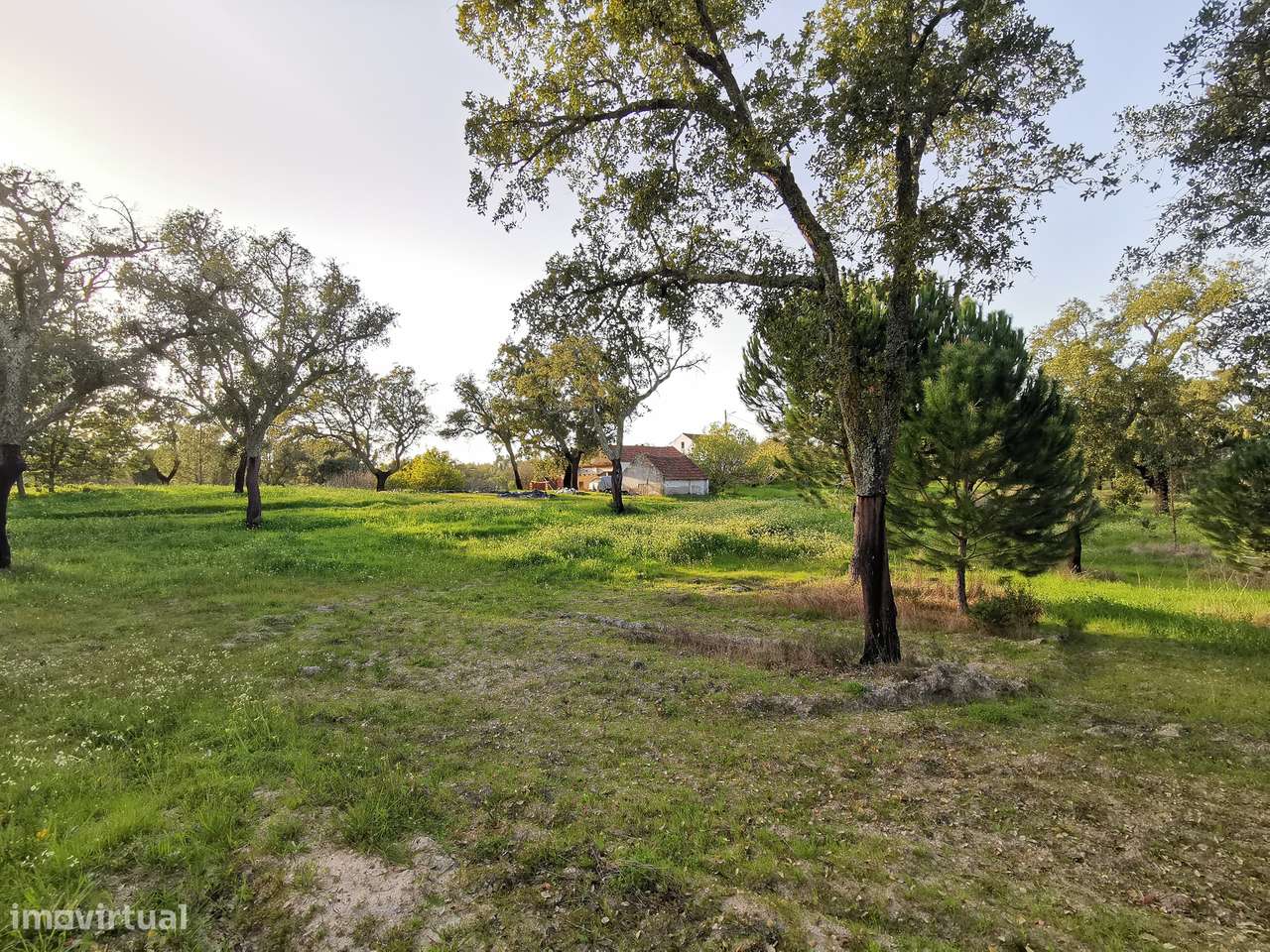 Moradia T2  Lamarosa de Coruche-50