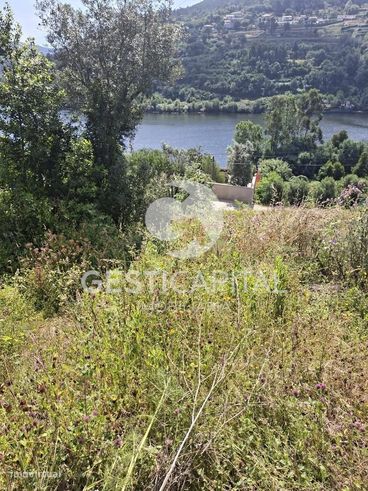Quintinha com vista para o Douro em Magrelos, Marco de Canaveses-10