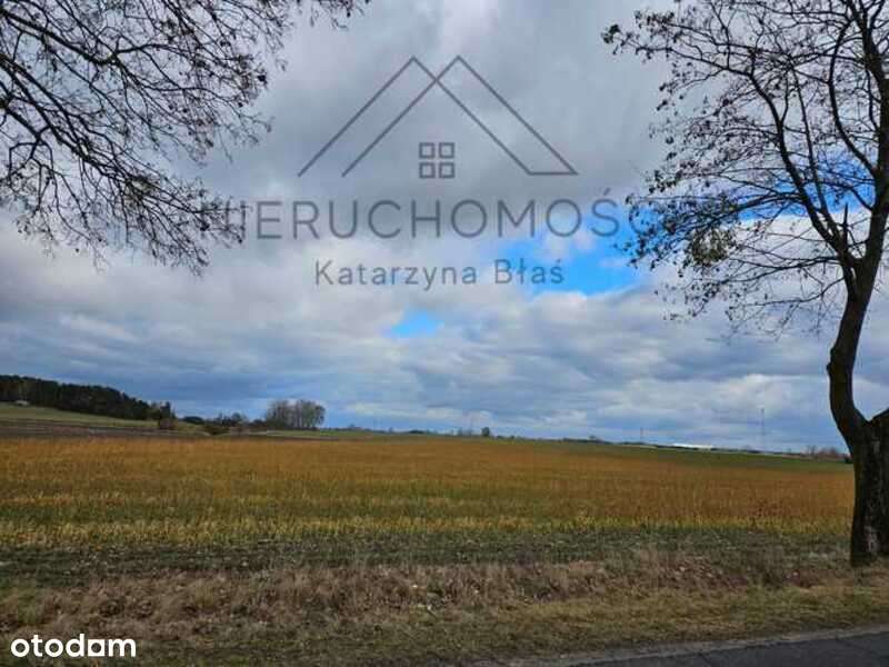 Działka budowlana w Białej-8