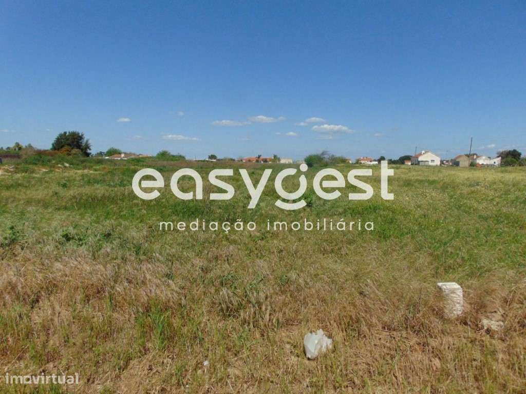 Excelente Terreno Misto com viabilidade de construção em Salvaterra - Grande imagem: 3/20