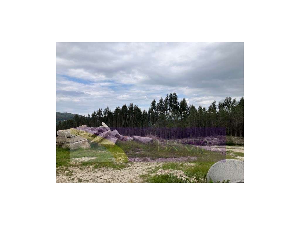 Terreno, Celorico de Bastos-5