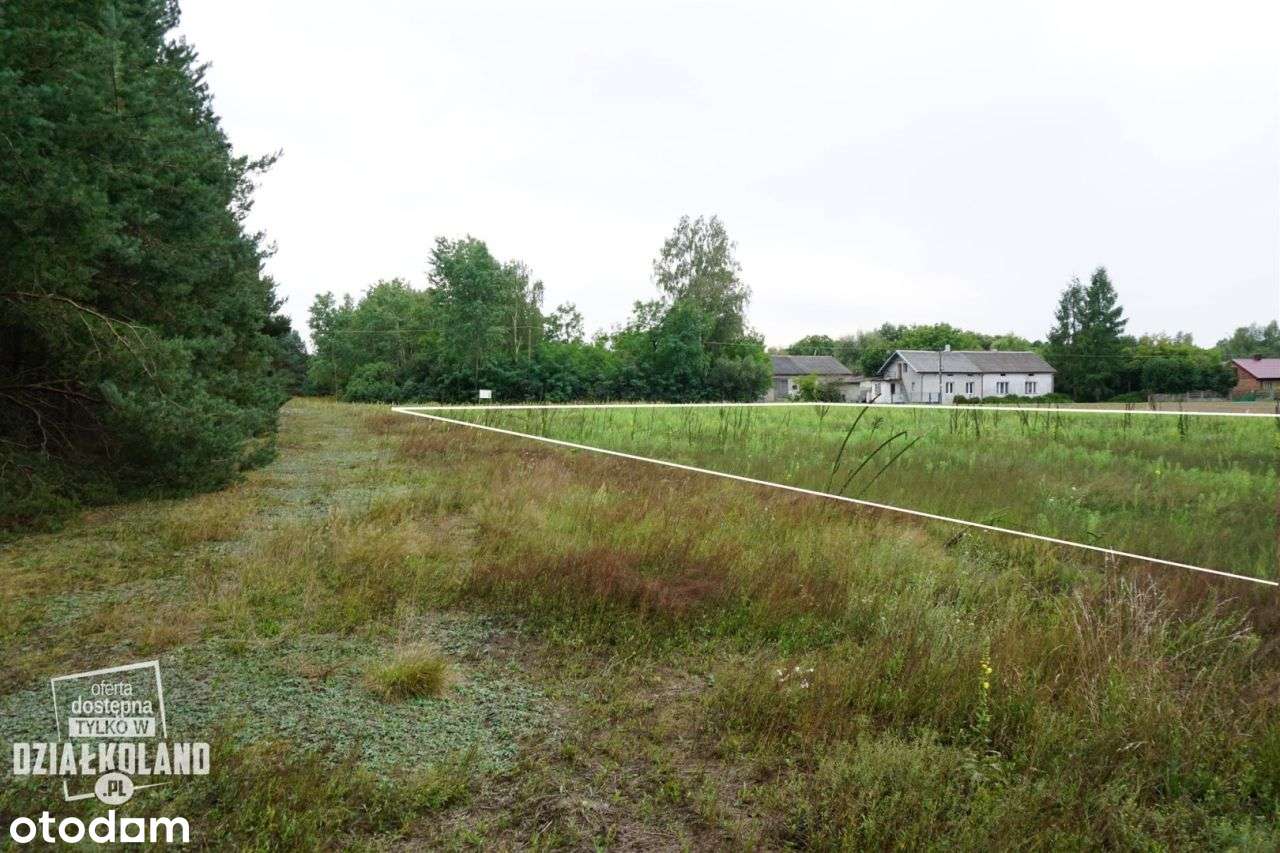 Dz. budowlana 4060 m², Skęczno (Kol. Piła), Zadzim-6
