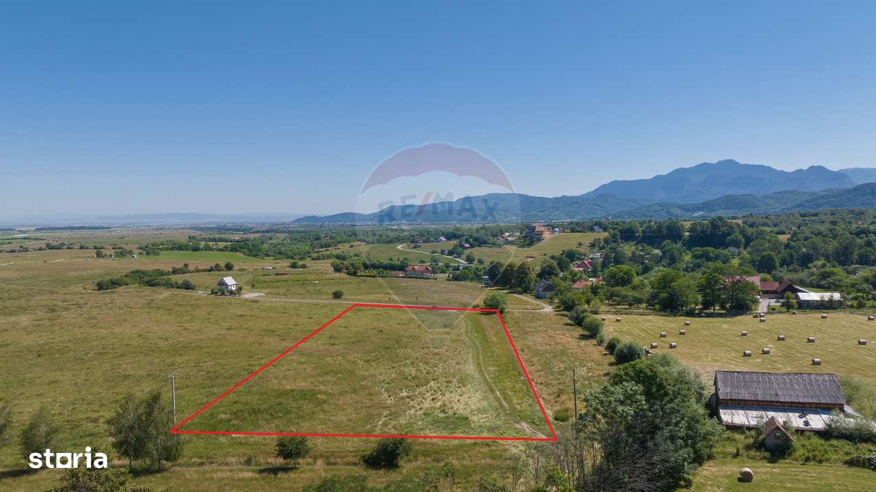 Teren Bran -Sohodol, Strada La mesteceni, 6900mp - Imagine principală: 4/17