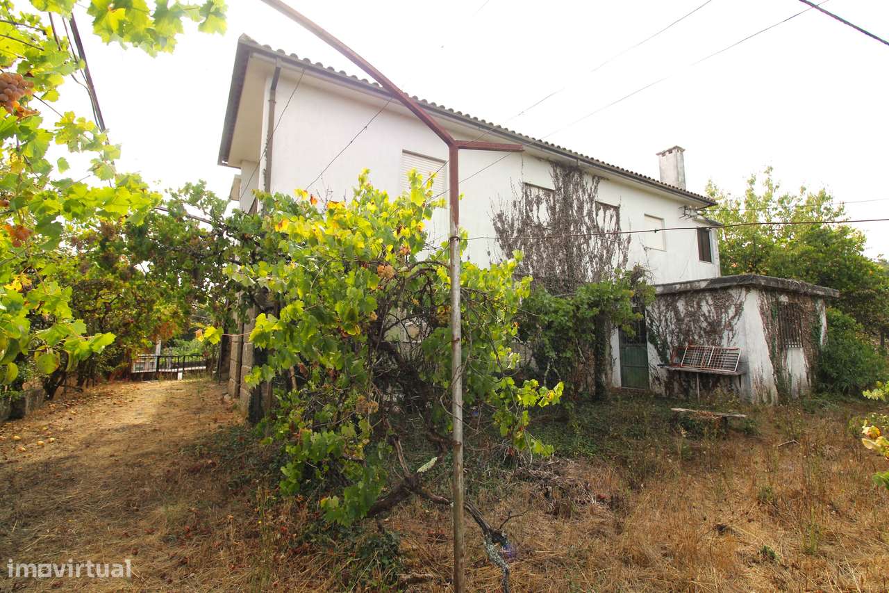 Quinta com 8.000 m² a apenas 10 km do centro de Viseu-6