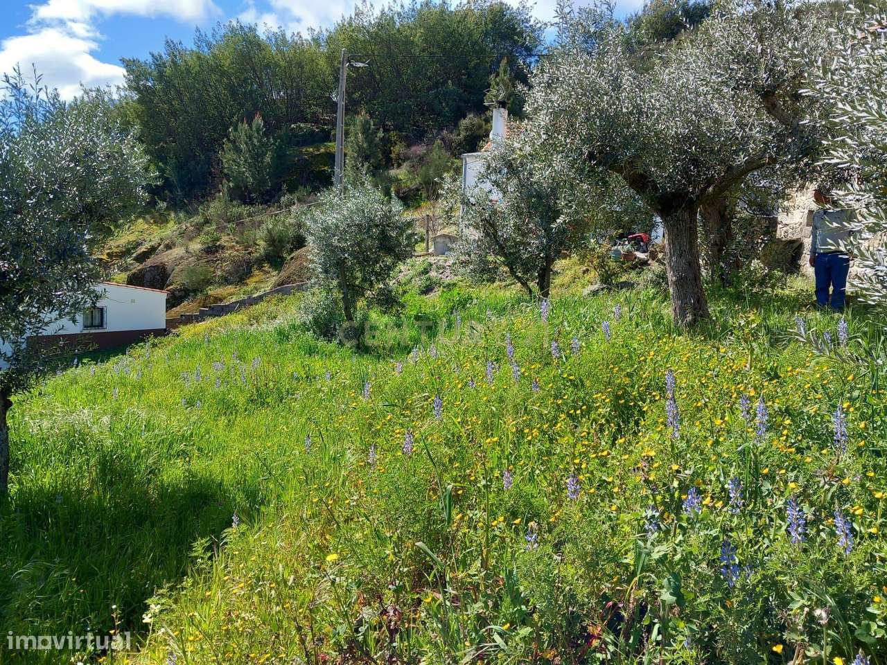 Terreno Rustico Alpedrinha - Grande imagem: 3/6