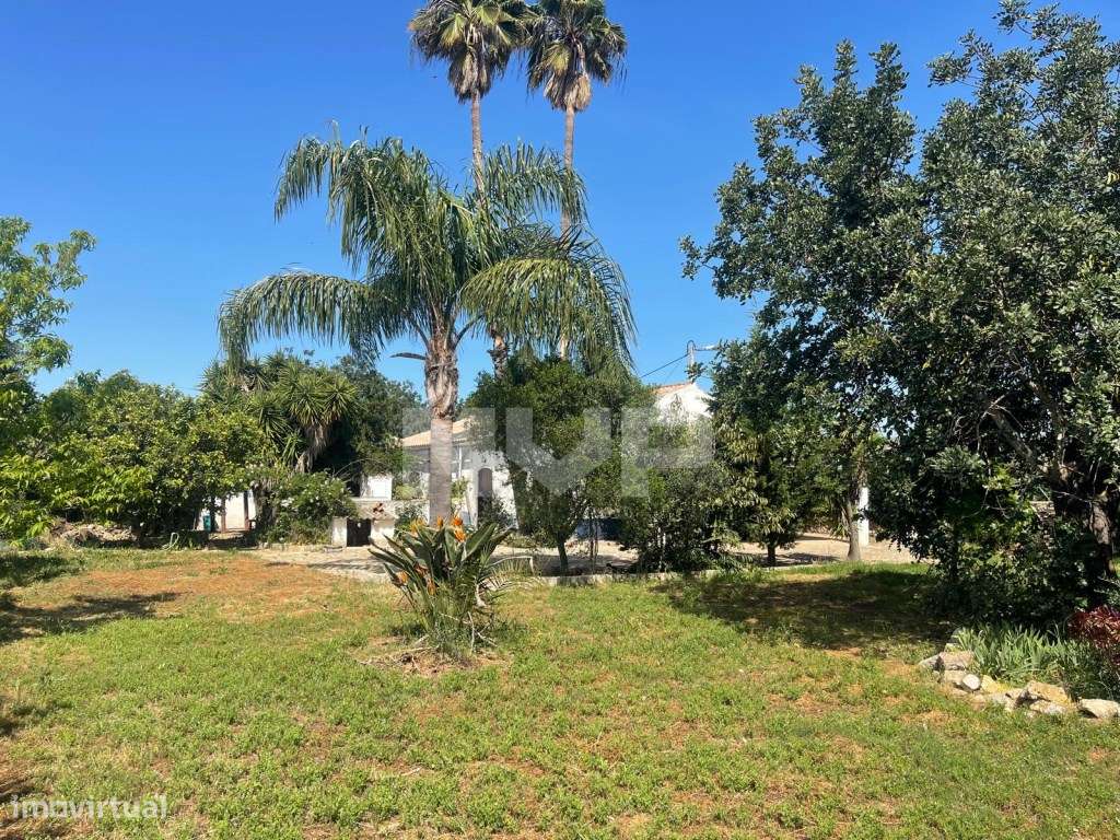 Quinta com 3 quartos e forno em Santa Bárbara de Nexe, Faro.-48