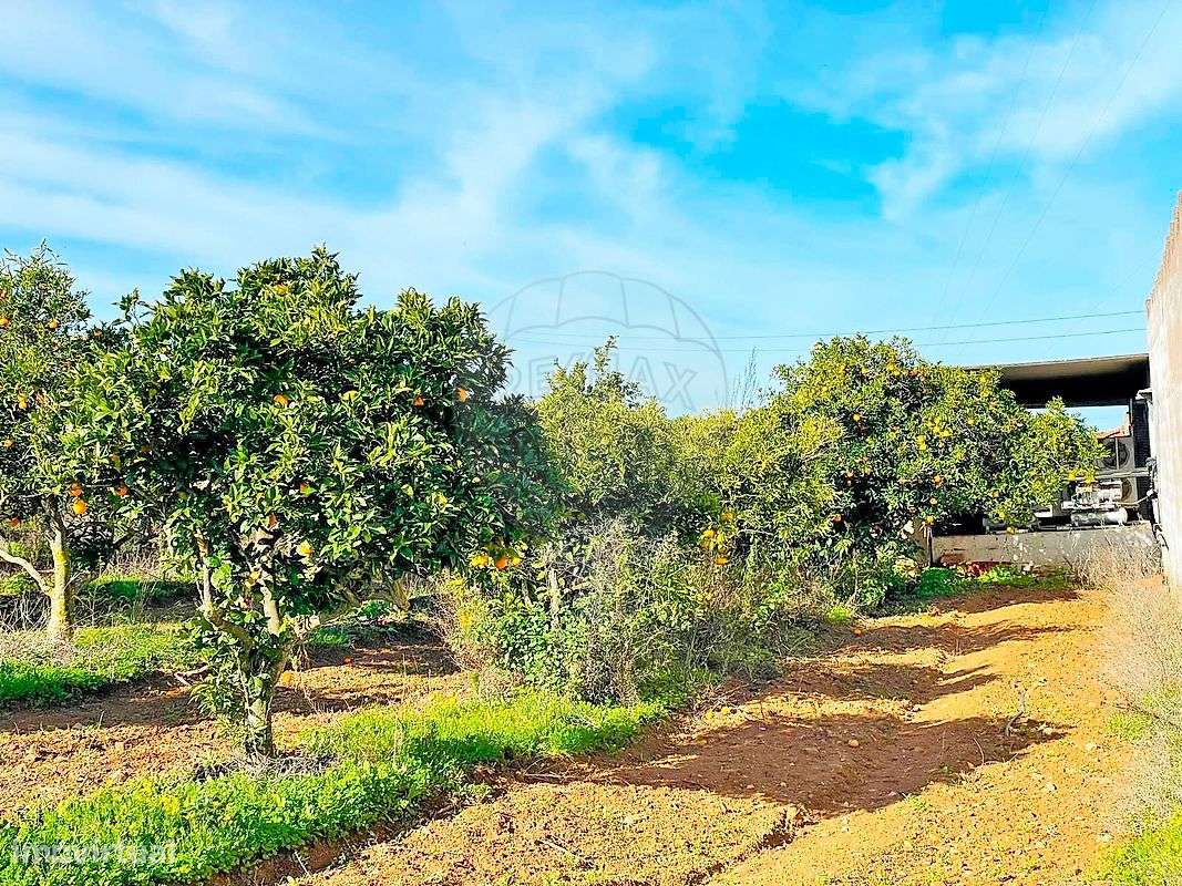 Quinta  para venda-36