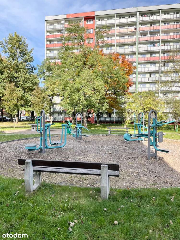 3 pokoje w świetnej lokalizacji, Katowice-Bogucice-15