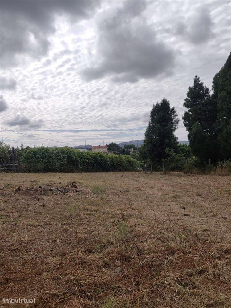 Terreno Venda-1
