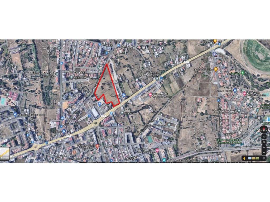 Terreno c/ apox. 24000 - Olhão - Grande imagem: 2/4