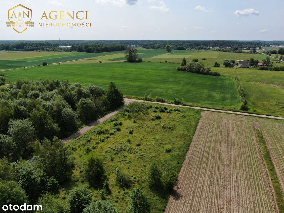 ** Halickie * 3000m² możliwości ** - Pełny obrazek: 4/5