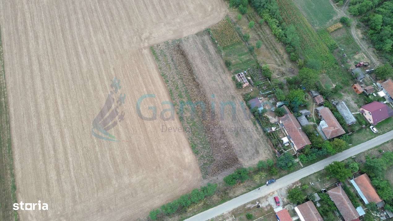 Gaminvest Teren intravilan de vanzare, Bihor,V4116 - Imagine principală: 5/11