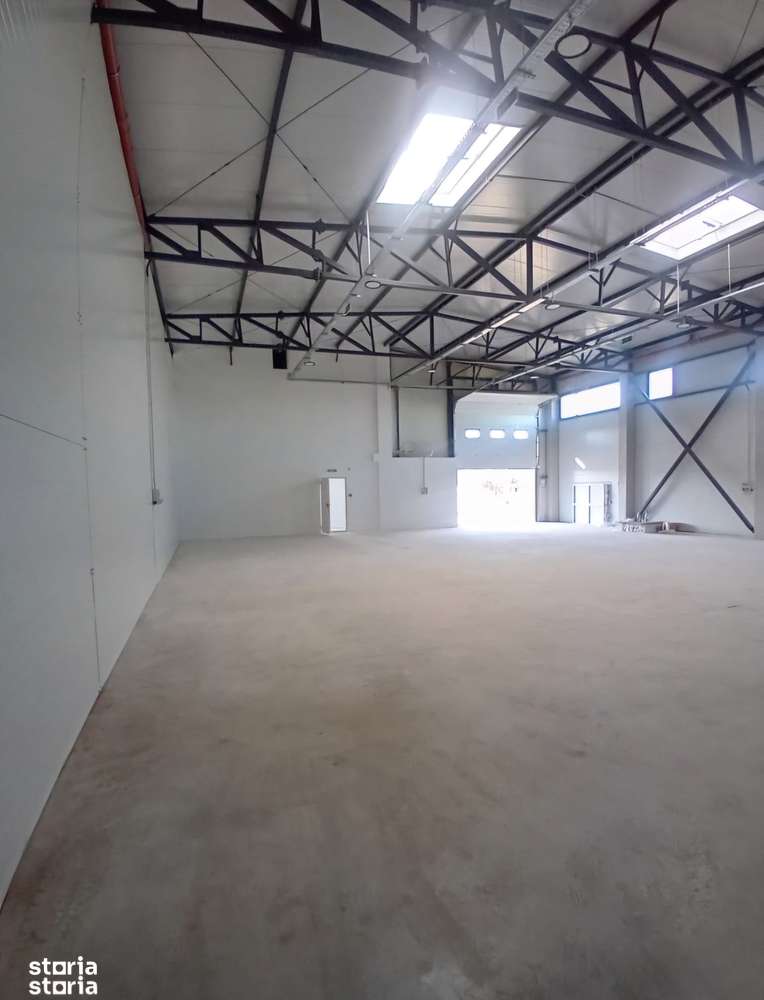 ## Hală industrială modernă cu birouri – Chitila, Str. Oxigenului-9