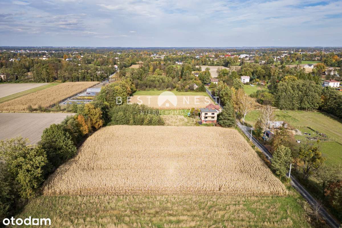 Działka budowlano-rolna z dużym potencjałem - Pełny obrazek: 5/20