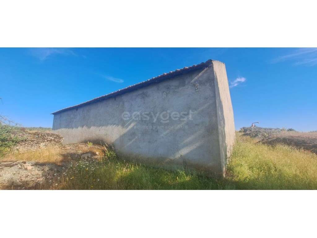 Armazém e terreno agrícola em Estevais, Torre de Moncorvo - Grande imagem: 2/12