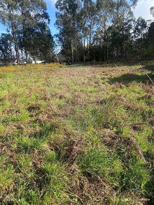 Terreno  para venda-7