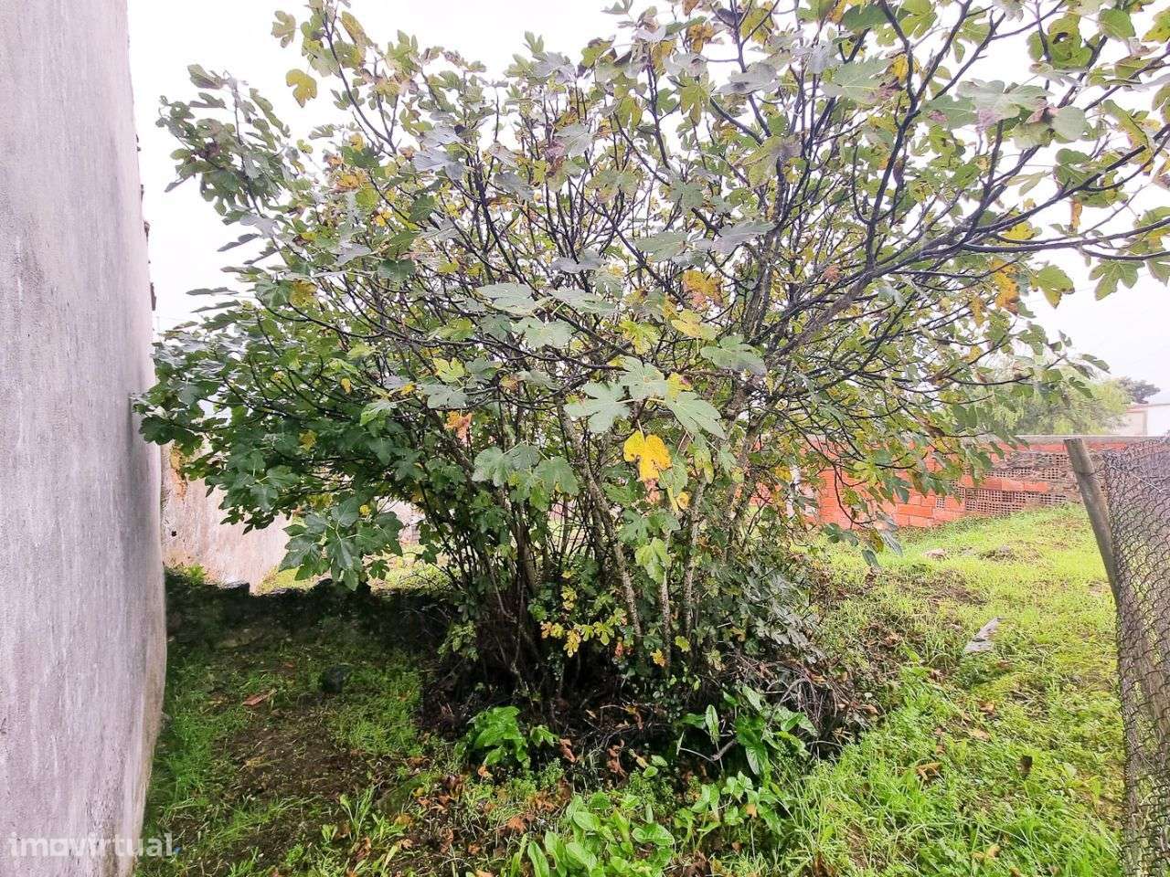 Terreno no Centro da Aldeia - Grande imagem: 2/4