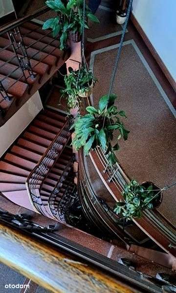 Strych do adaptacji w centrum miasta-2