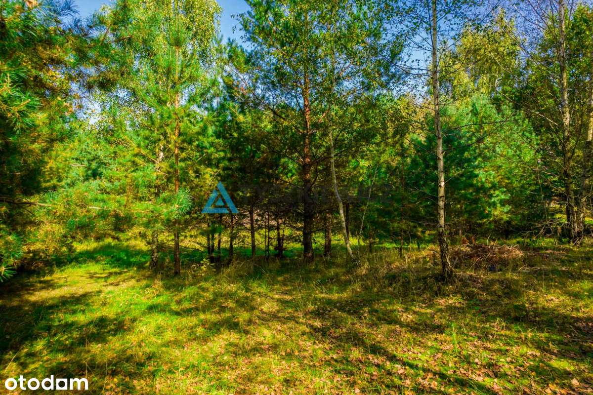 Urokliwa działka położona w sąsiedztwie jezior! - Pełny obrazek: 5/19