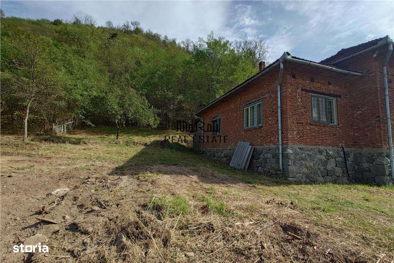 Teren, padure si casa in Dumbrava de Jos, jud. Hunedoara-5