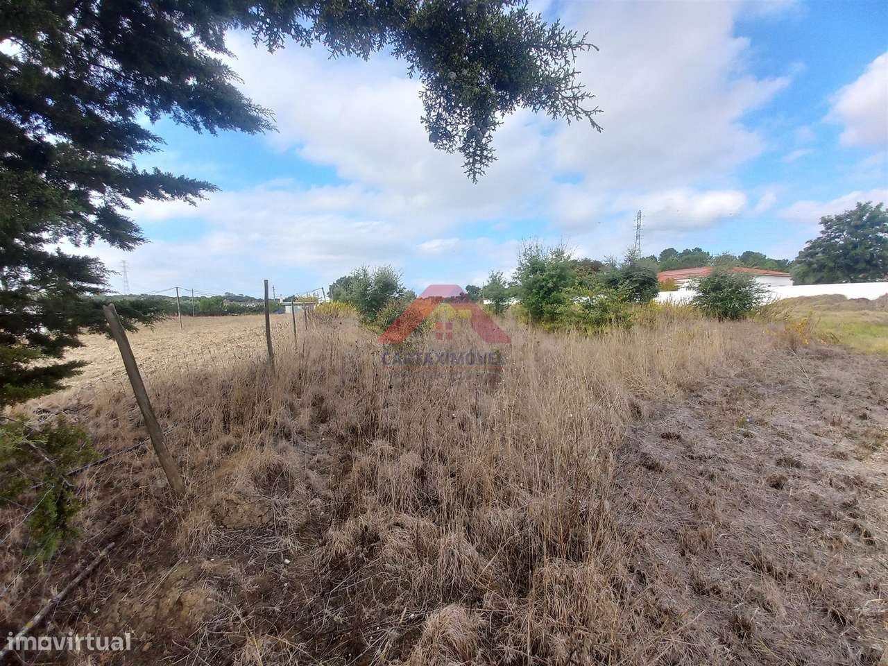 Terreno Rústico  Venda em Cartaxo e Vale da Pinta,Cartaxo - Grande imagem: 5/6