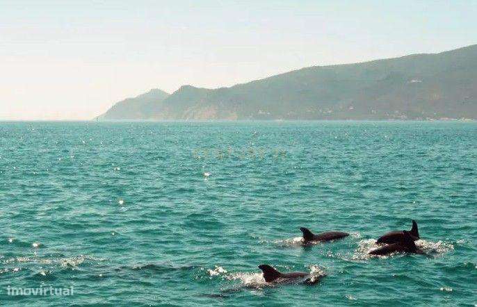 Moradia T4 Independente com garagem e jardim e Sótão em Setúbal-54