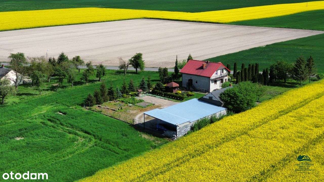 Dom wolnostojący Brzeźno PROMOCJA- KUPUJĄCY NIE PŁACI PROWIZJI - Pełny obrazek: 4/20