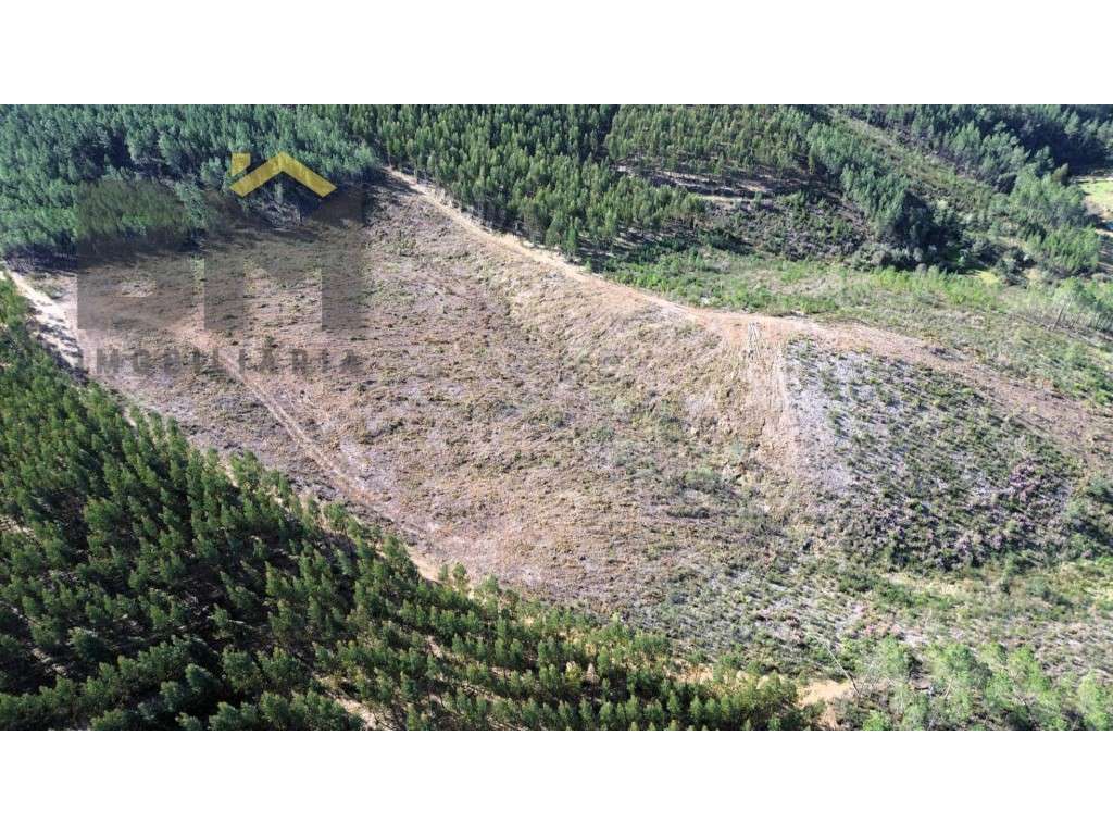 Terreno à venda em São Vicente da Beira! - Grande imagem: 4/6