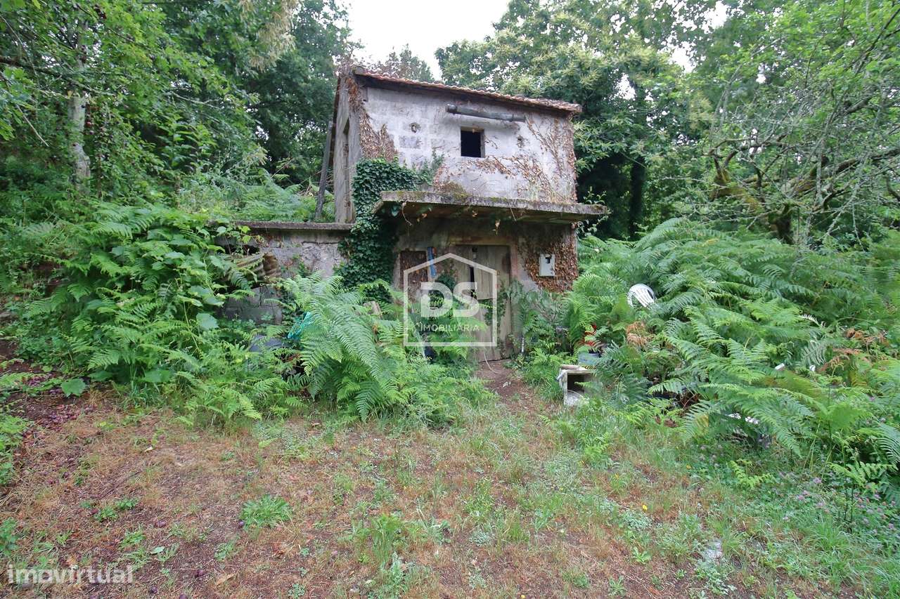 Terreno  Venda em Souselo,Cinfães - Grande imagem: 2/14