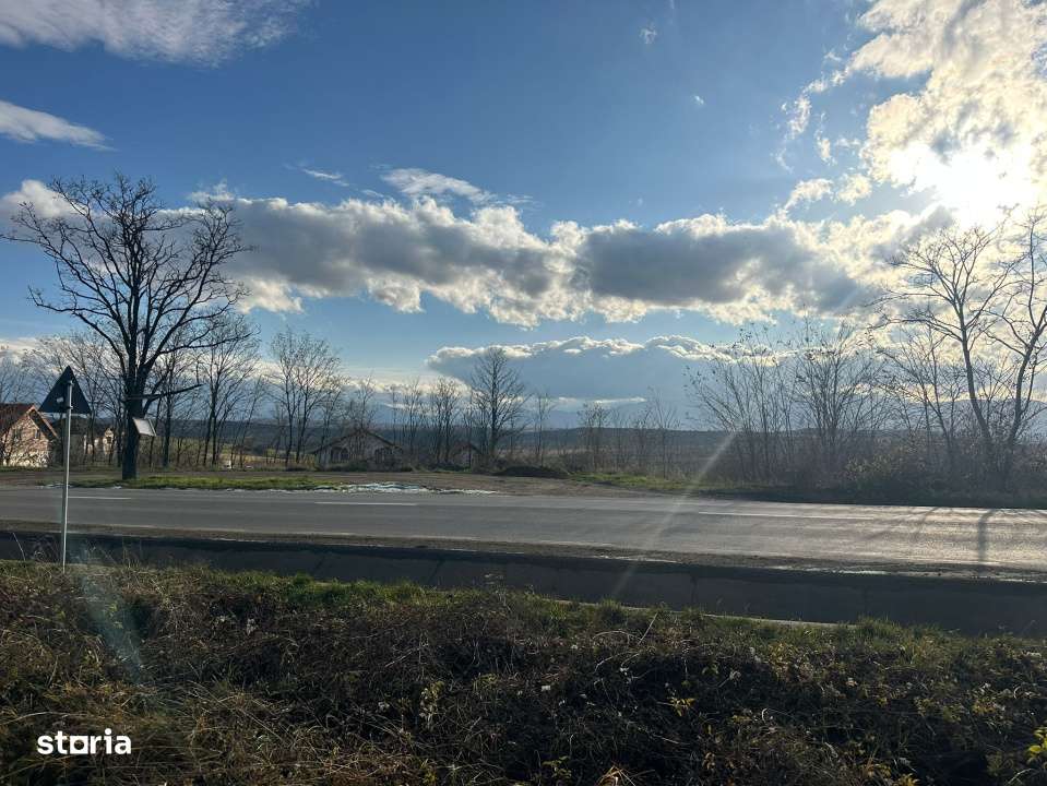 Teren Intravilan  2000mp, cu utilitati (P+E /M), spre vanzare in Daia - Imagine principală: 4/7