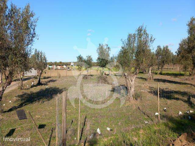 Terreno Rústico em Reguengos de Monsaraz - Grande imagem: 4/9