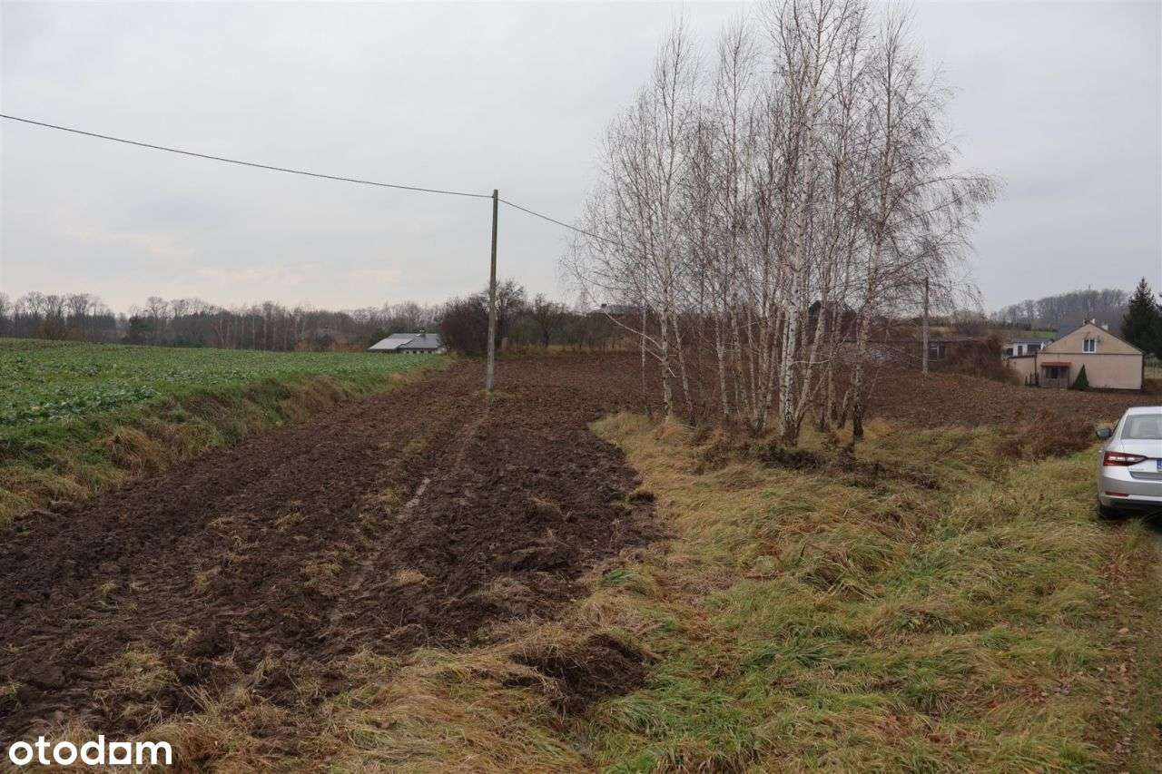 Działka w pobliżu jeziora - Łapinóżek-11