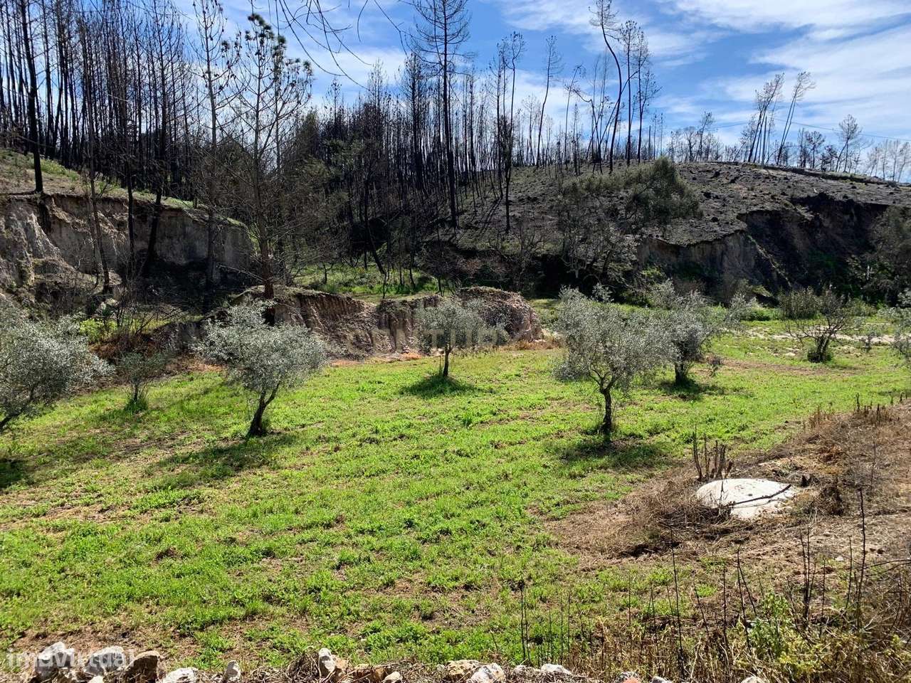 Casa de Campo no centro do país. Remodele o seu sonho! - Grande imagem: 2/11