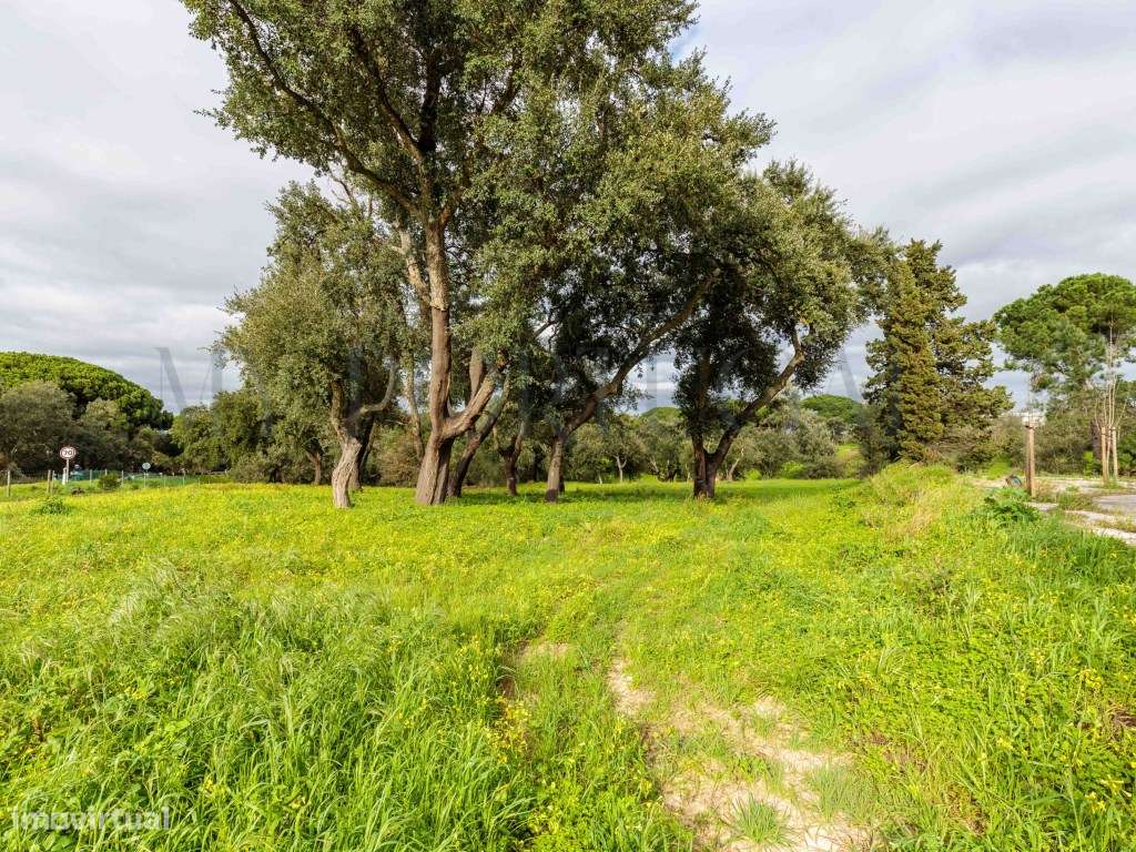'Casa do Bosque': Terreno Urbano de 1 Hectare em Azeitão - Onde o L...-16